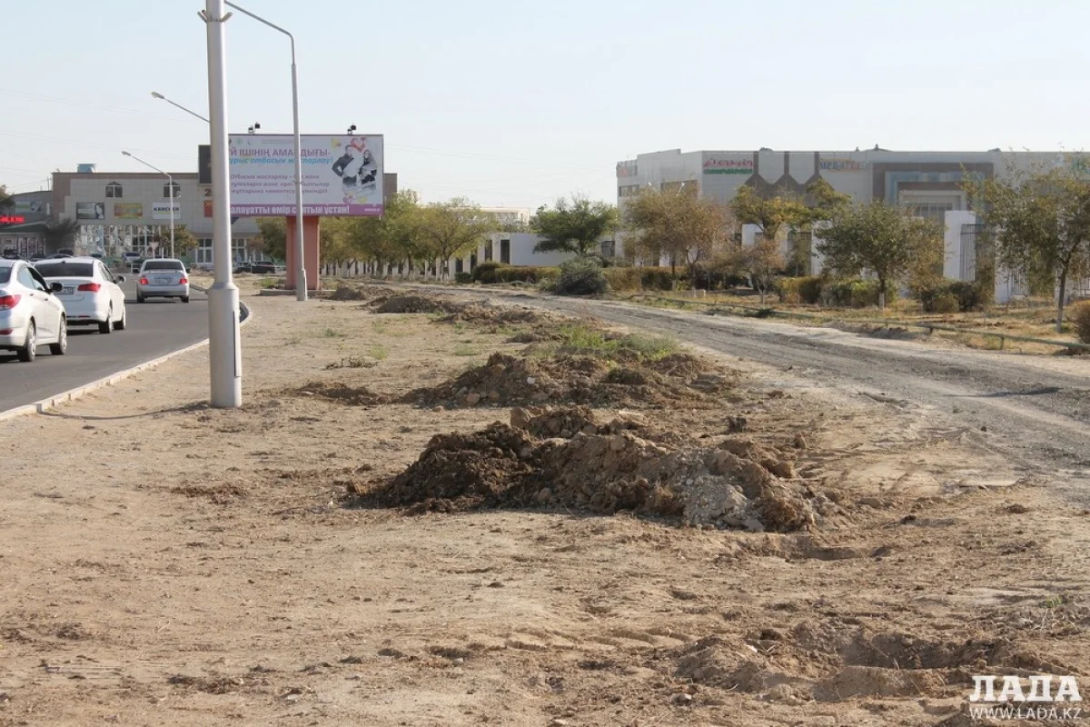 Часть вырубленных зеленых насаждений