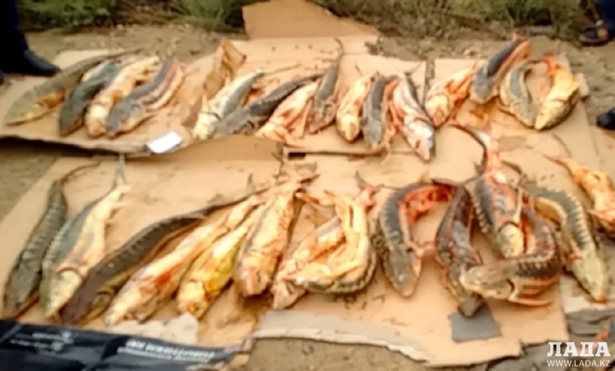 Фото предоставлено МПС Актау