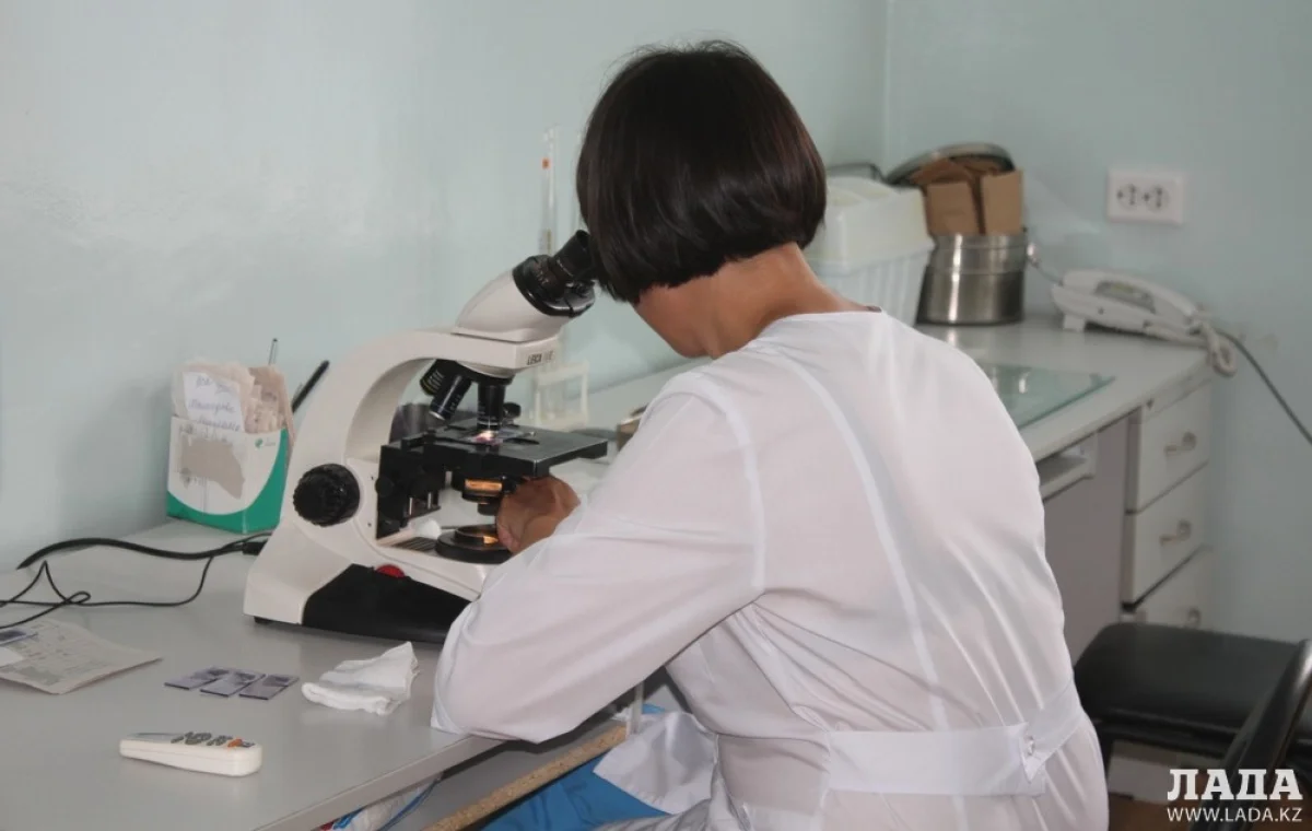 Лабораторные исследования в инфекционной больниц. Фото автора из архива