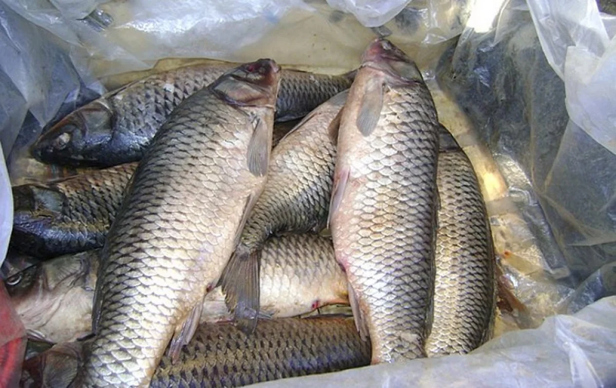 Фото с сайта www.fergananews.com