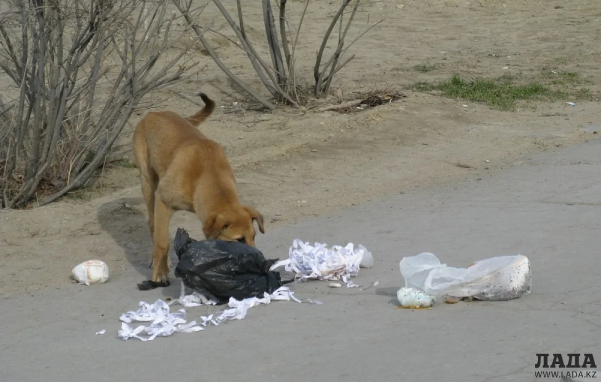 Фото автора из архива "Лады"