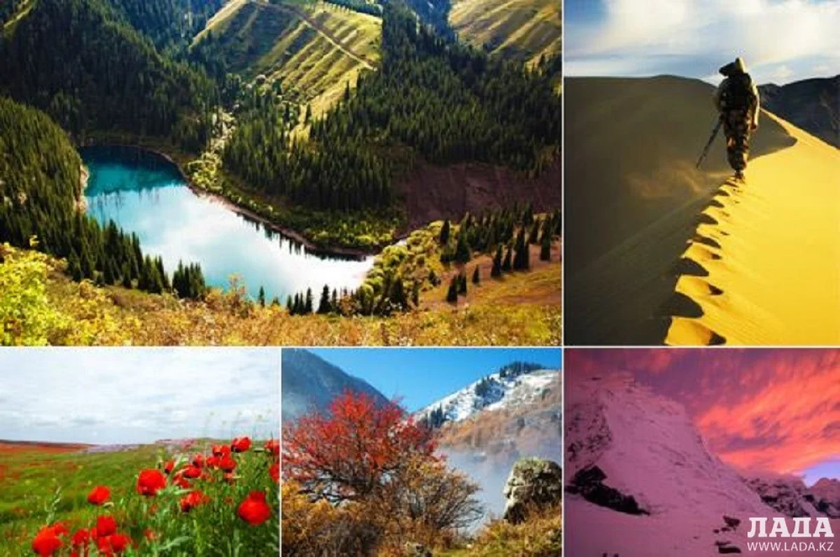 Иллюстративное фото