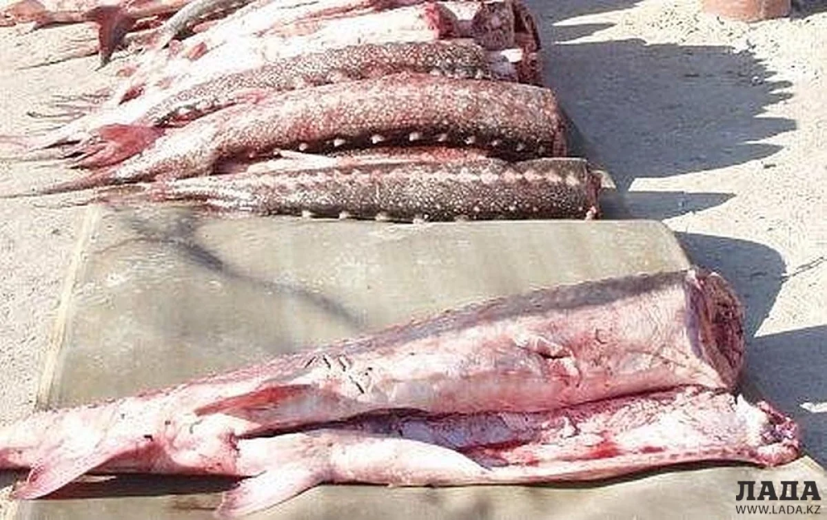 Фото из архива &quot;Лады&quot;