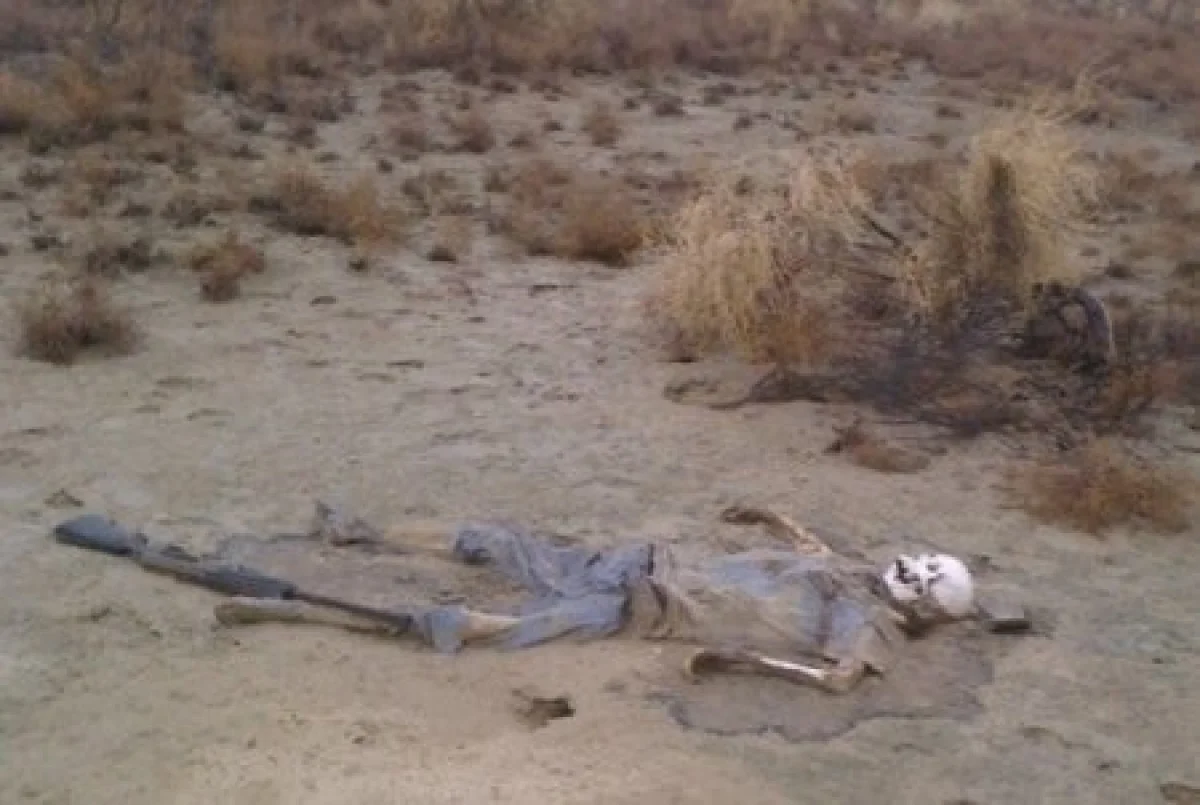 Фото из социальных сетей