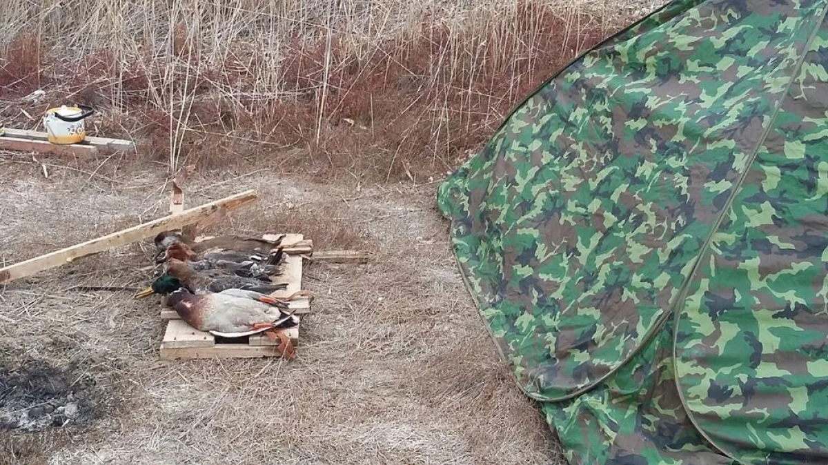 Фото пользователя сайта