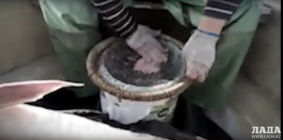 Кадр из видео