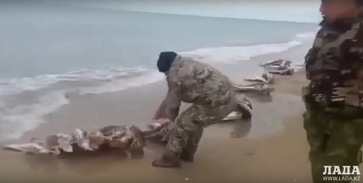 Кадр из видео