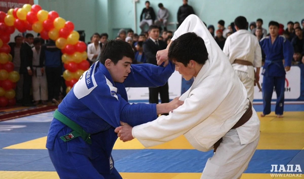 Первые схватки на татами