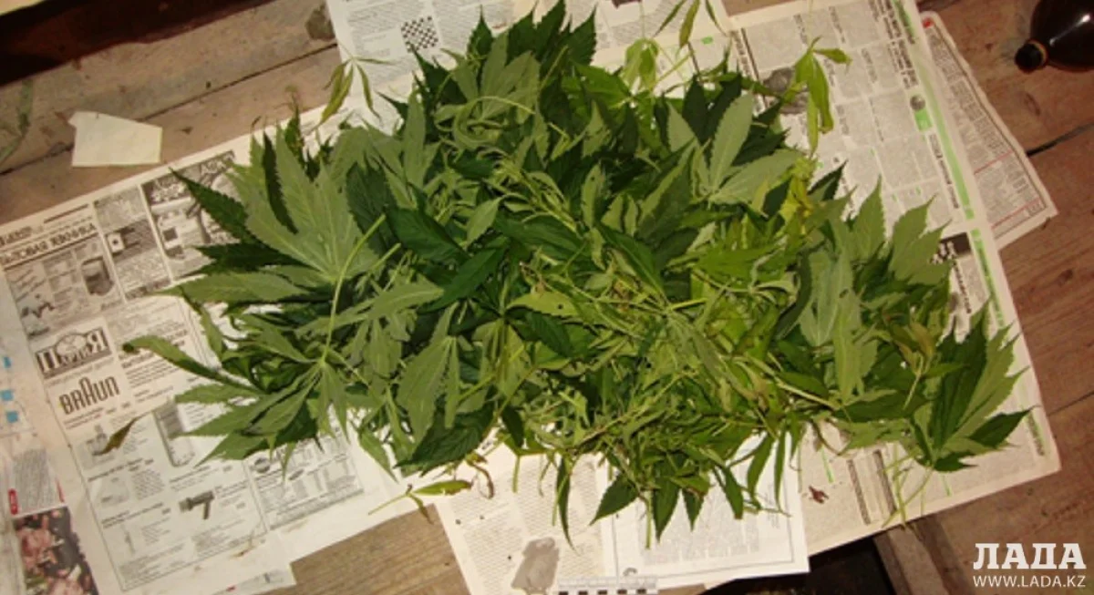 Иллюстративное фото