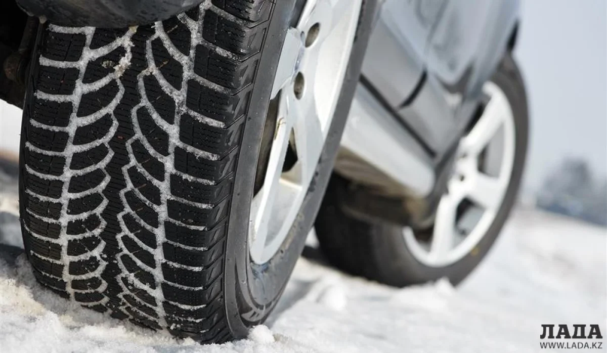 Фото из интернета