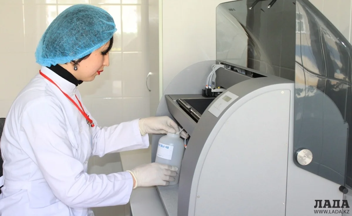 В лаборатории центра крови. Фото автора из архива