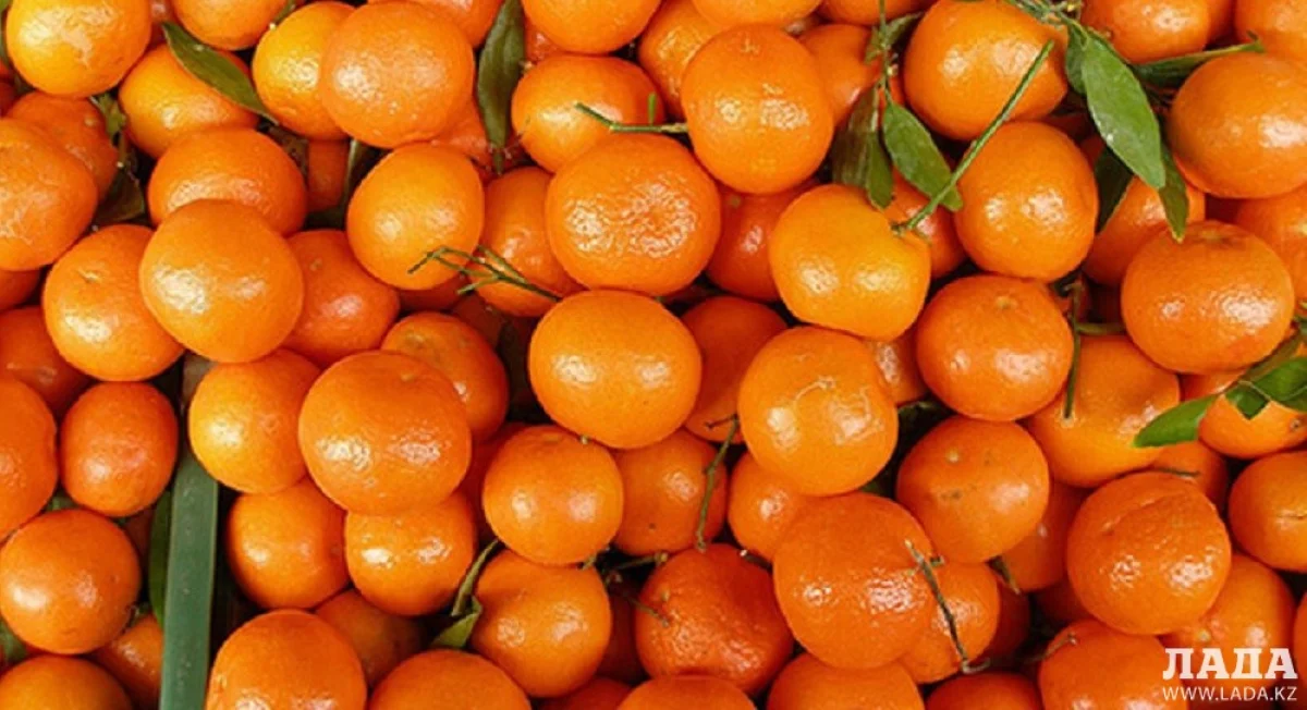 Иллюстративное фото