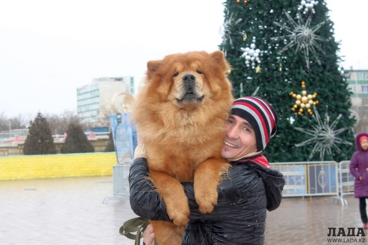 Фото автора