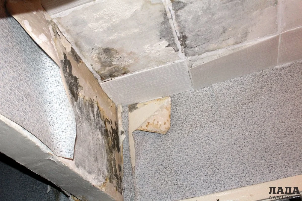 Так выглядит потолок в квартире пенсионерки. Фото предоставили соседи Марии Форофонтовой