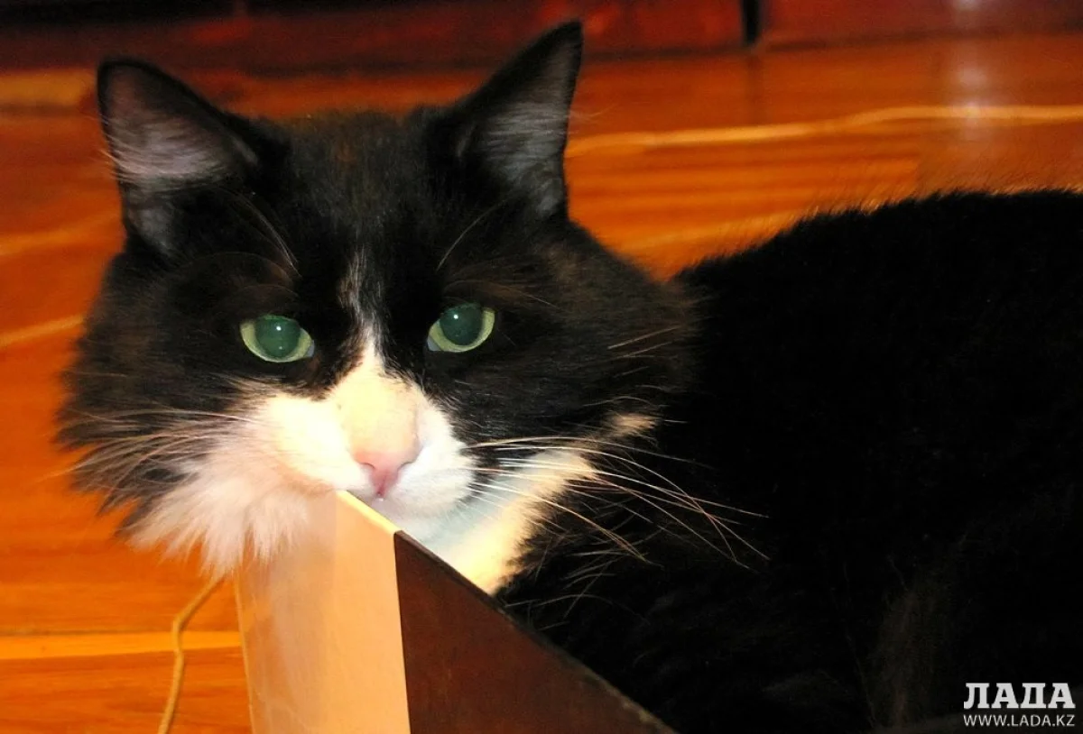 Фото Ольги Ярославской