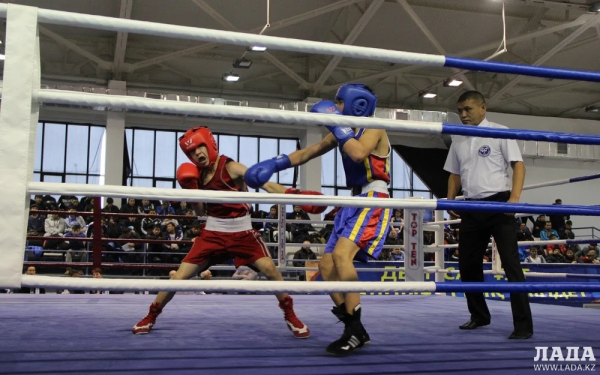 Бои в первый день турнира. Фото автора