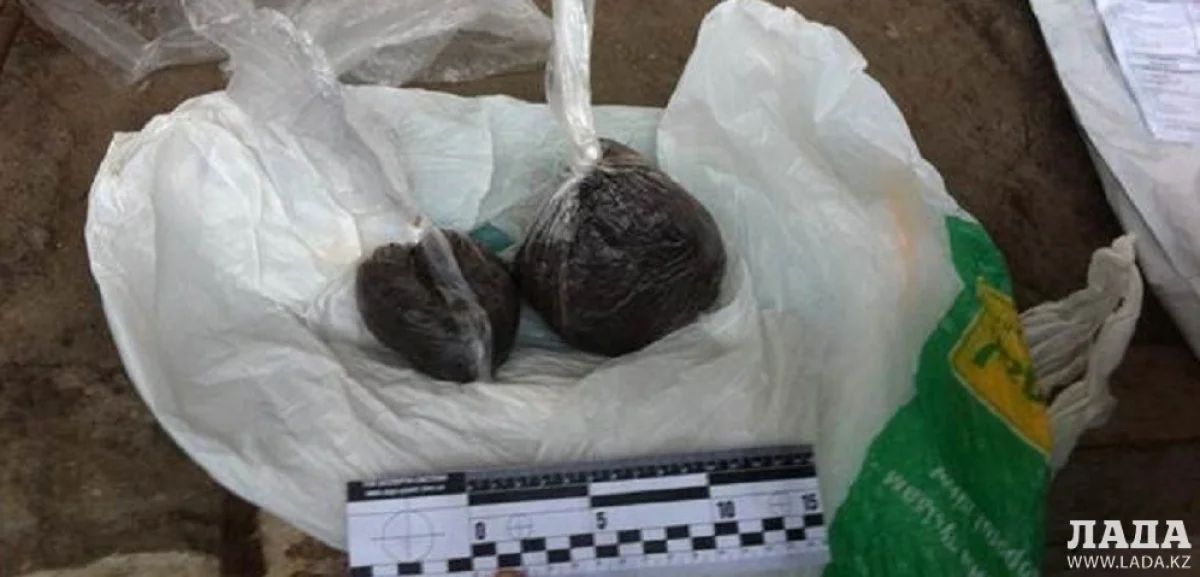 Фото с сайта inshe.tv