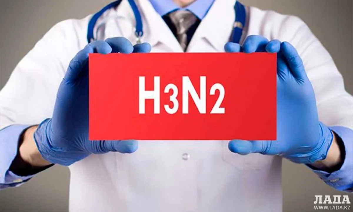 Фото с сайта vk-smi.ru