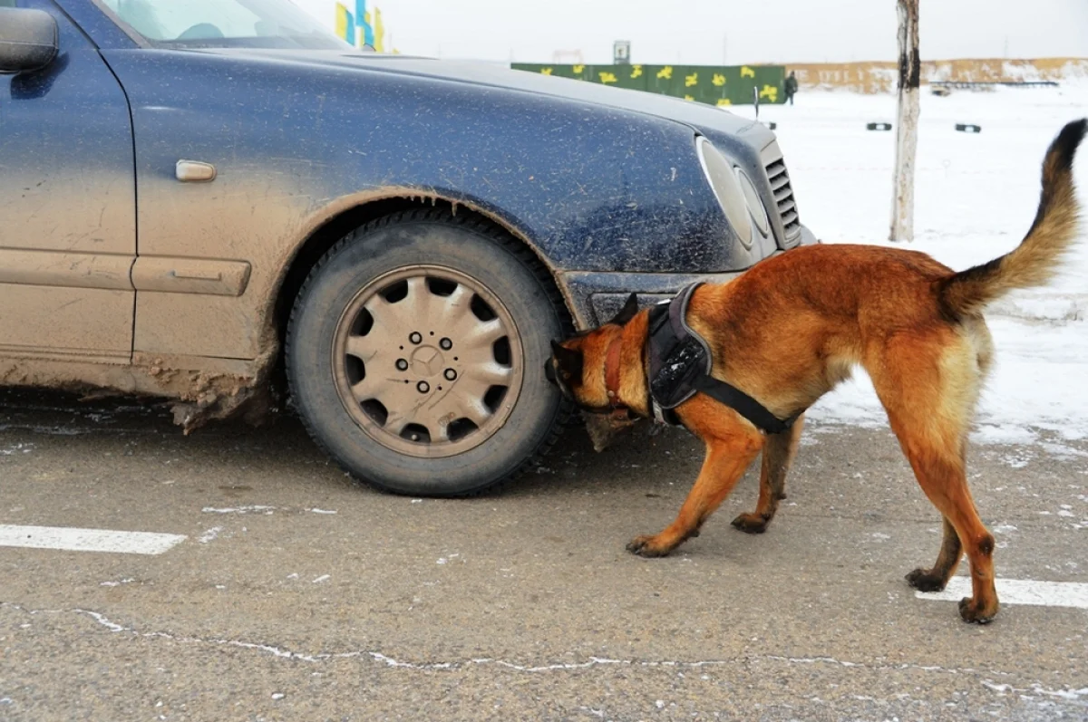 Фото предоставлено пресс-службой ведомства
