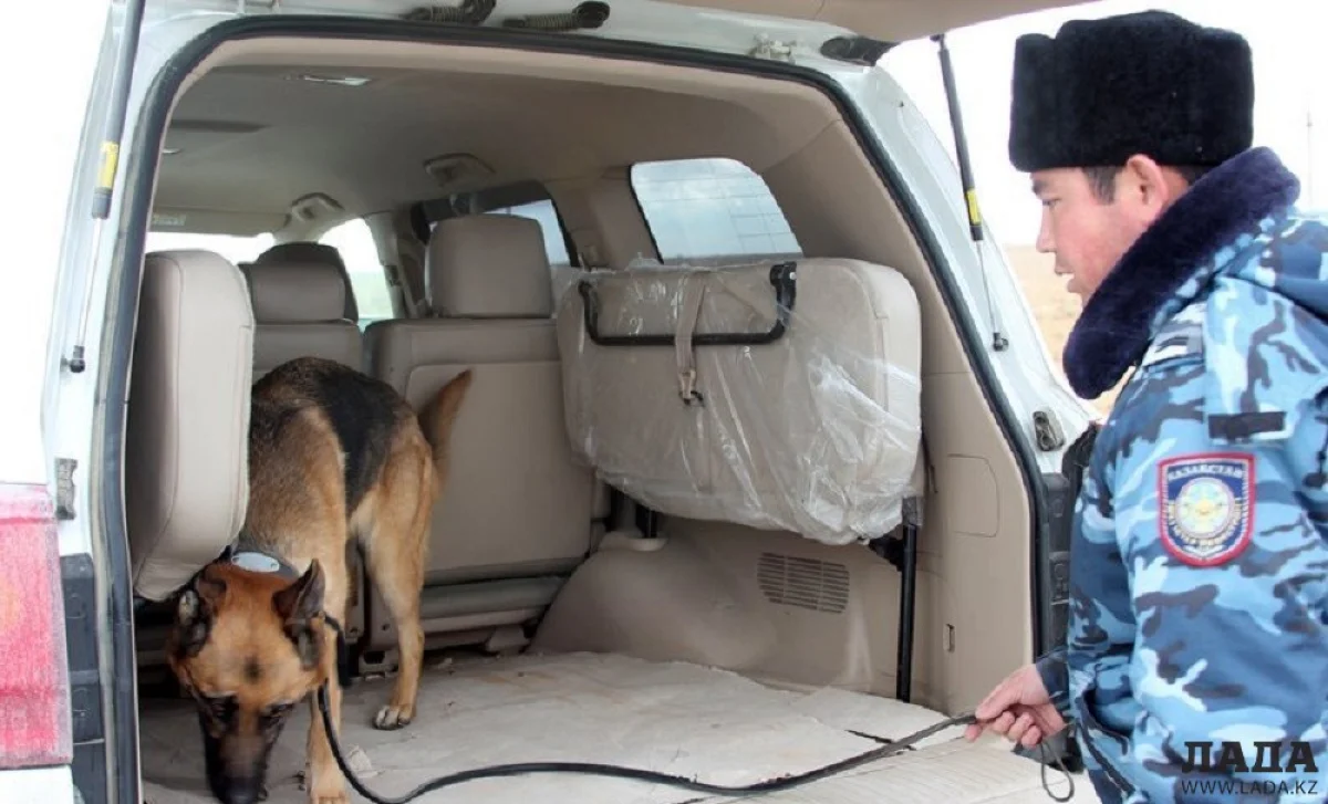 Фото из архива Lada.kz