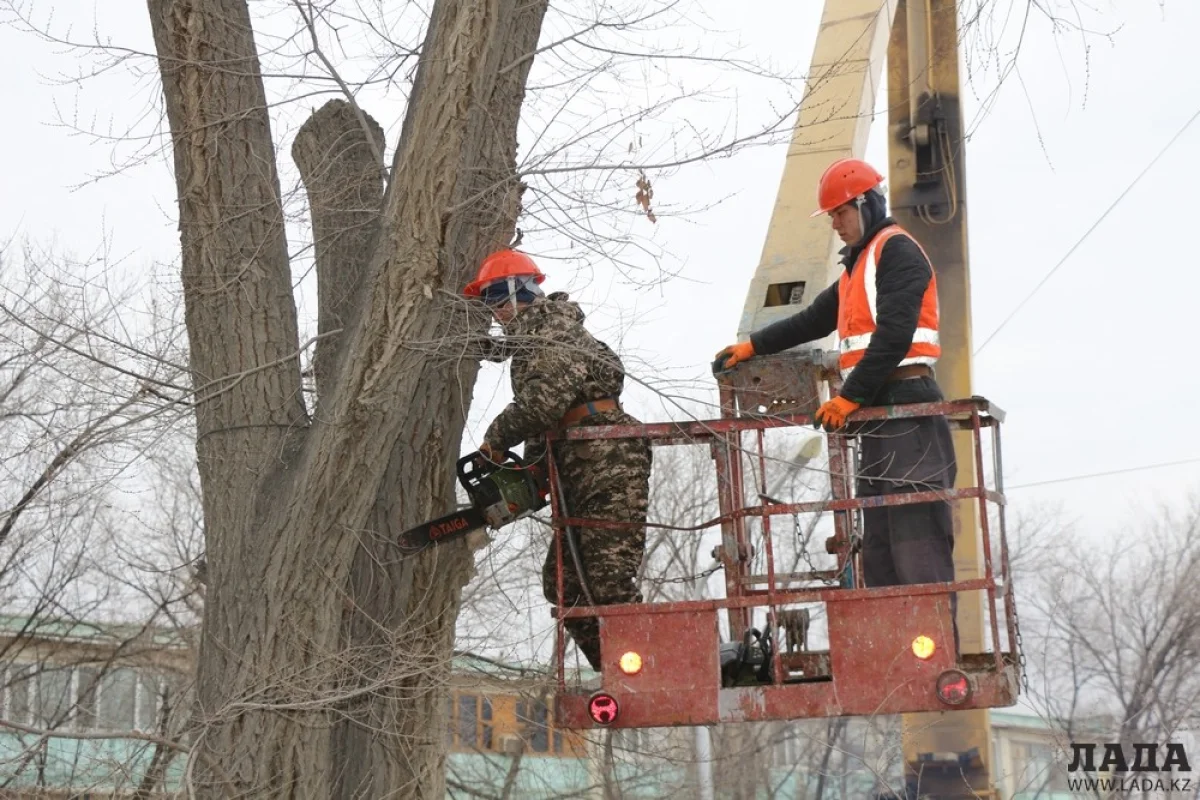 Фото Рашида Исмагилова