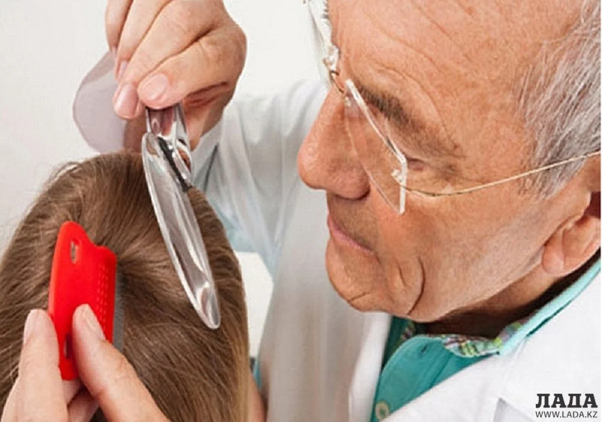 Фото из сети интернет