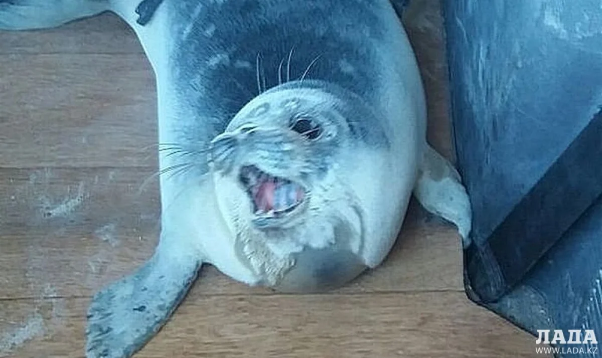 Фото пользователя сайта