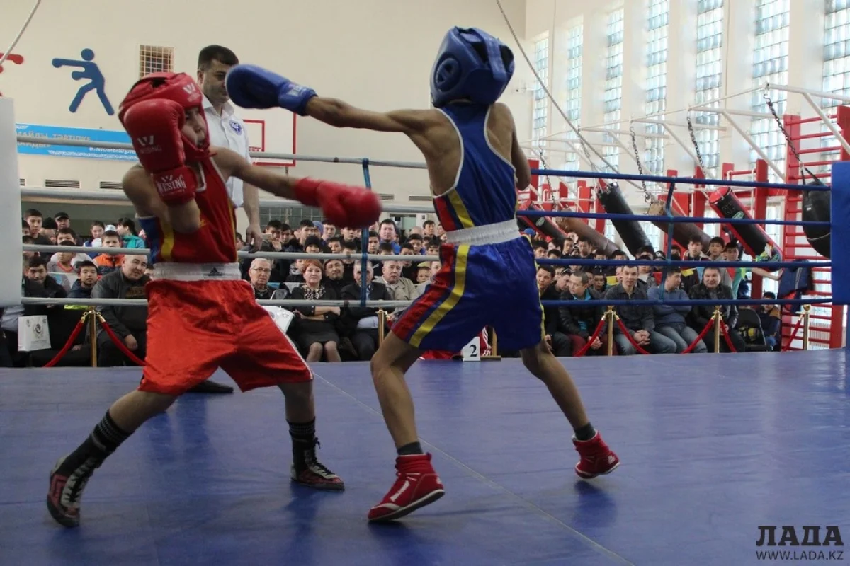 Зрители наблюдали за захватывающими боями молодых мастеров кожаной перчатки. Фото автора