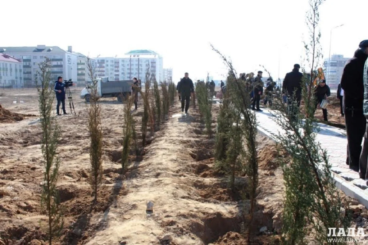 Фото Эльхама Зейналова