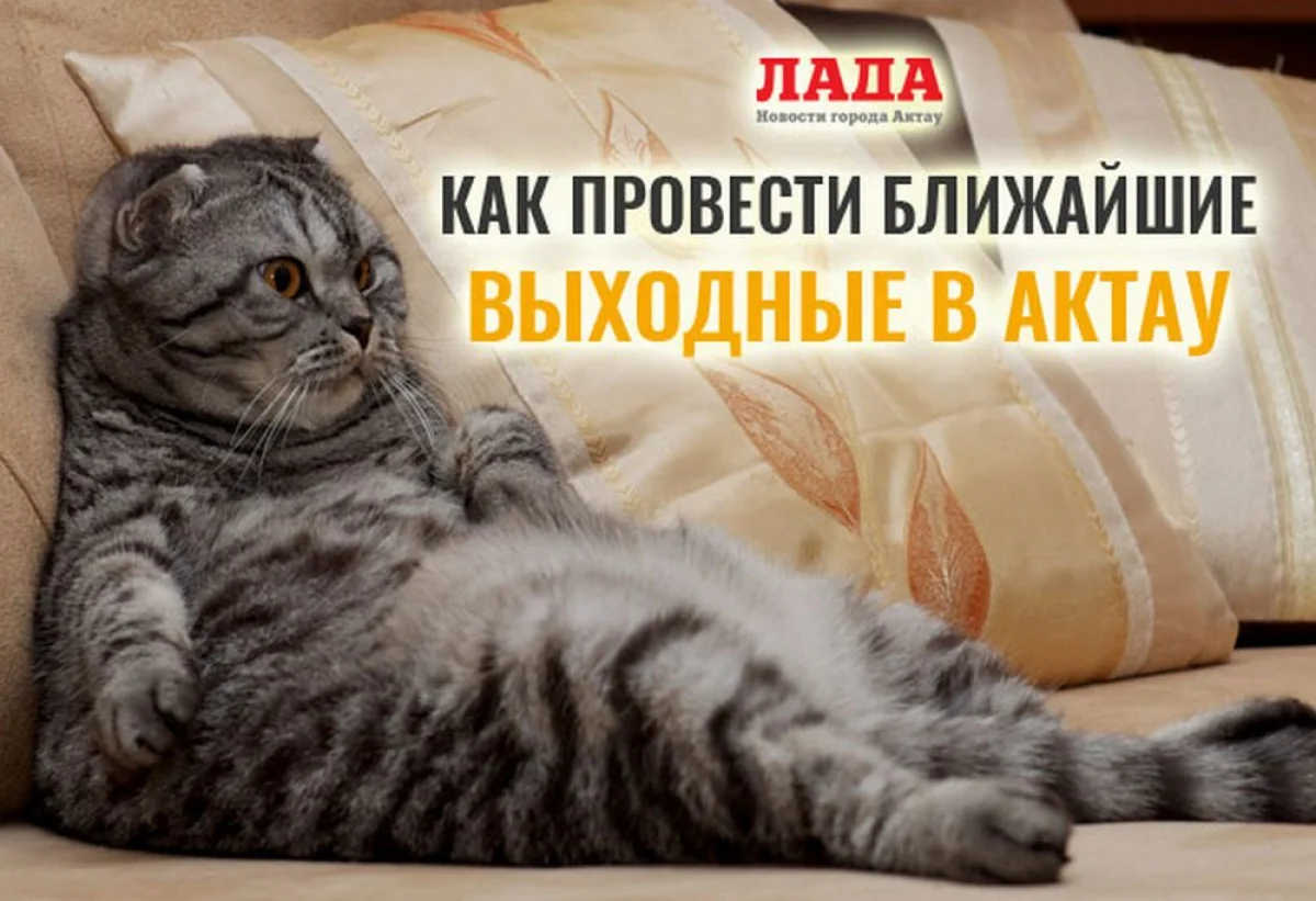 Иллюстрация Lada.kz