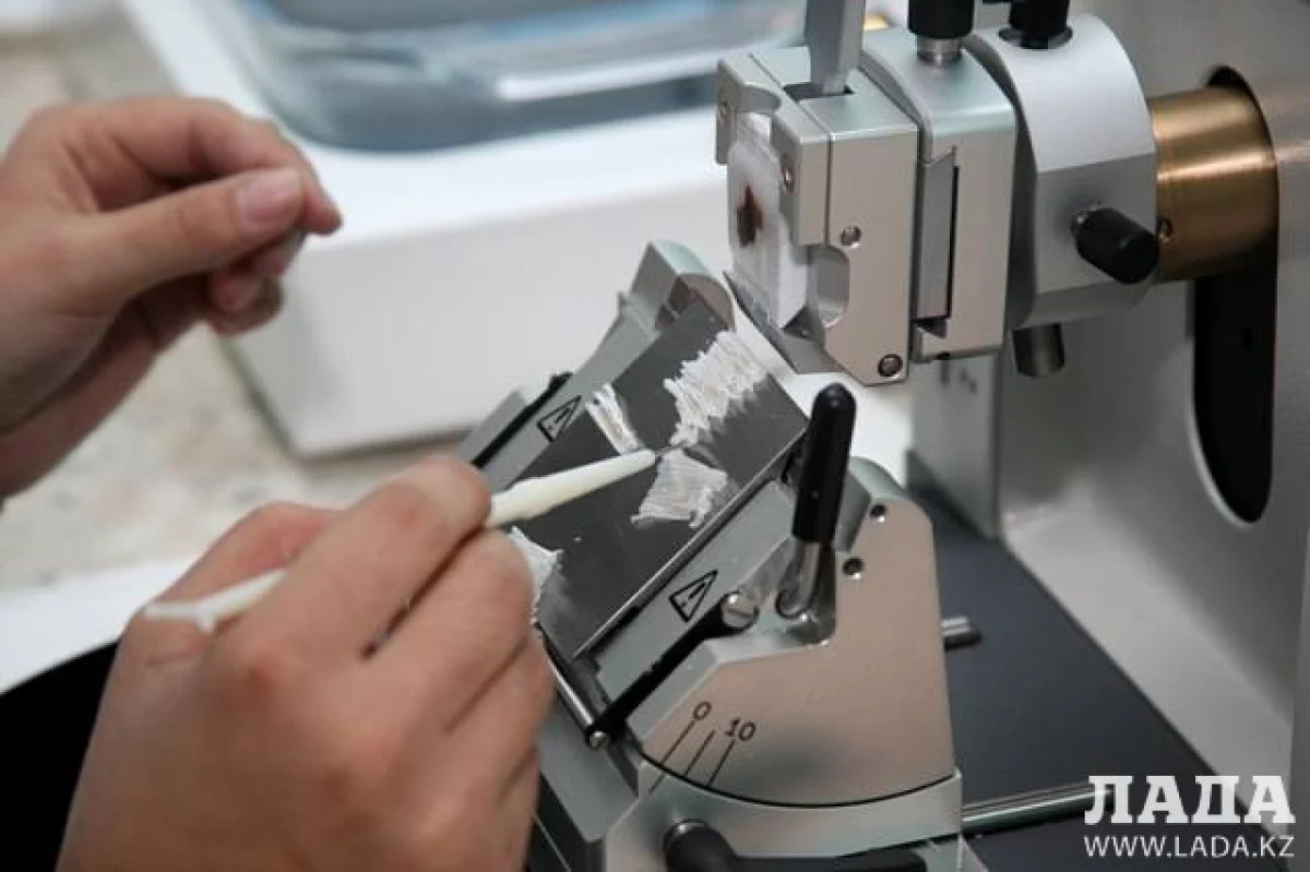 В лаборатории диспансера. Фото Ольги Ярославской