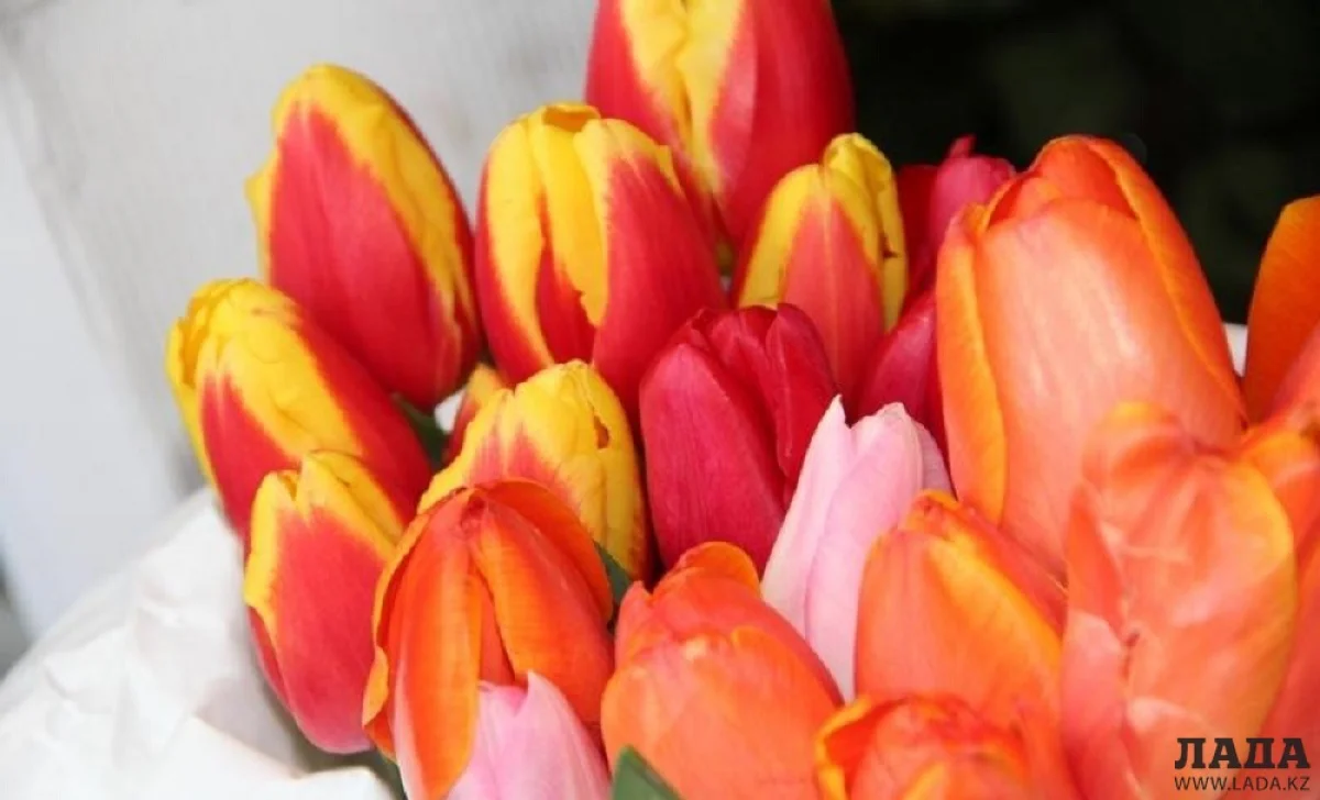 Иллюстративное фото