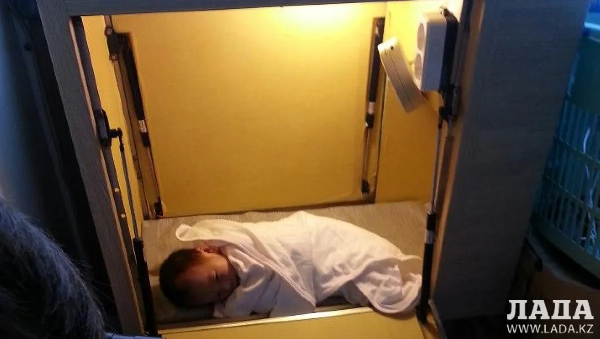 Фото из сети интернет