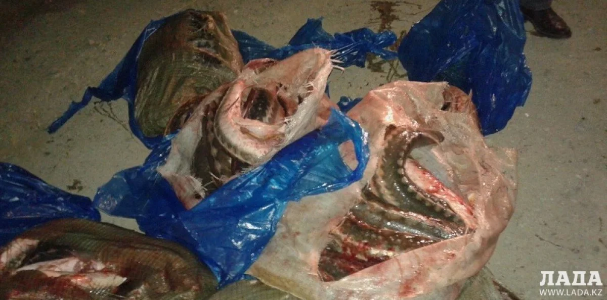 Фото из архива Lada.kz