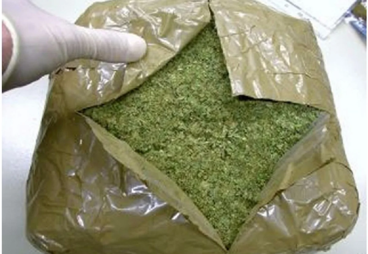 Фото пресс-службы ДВД на транспорте МВД РК