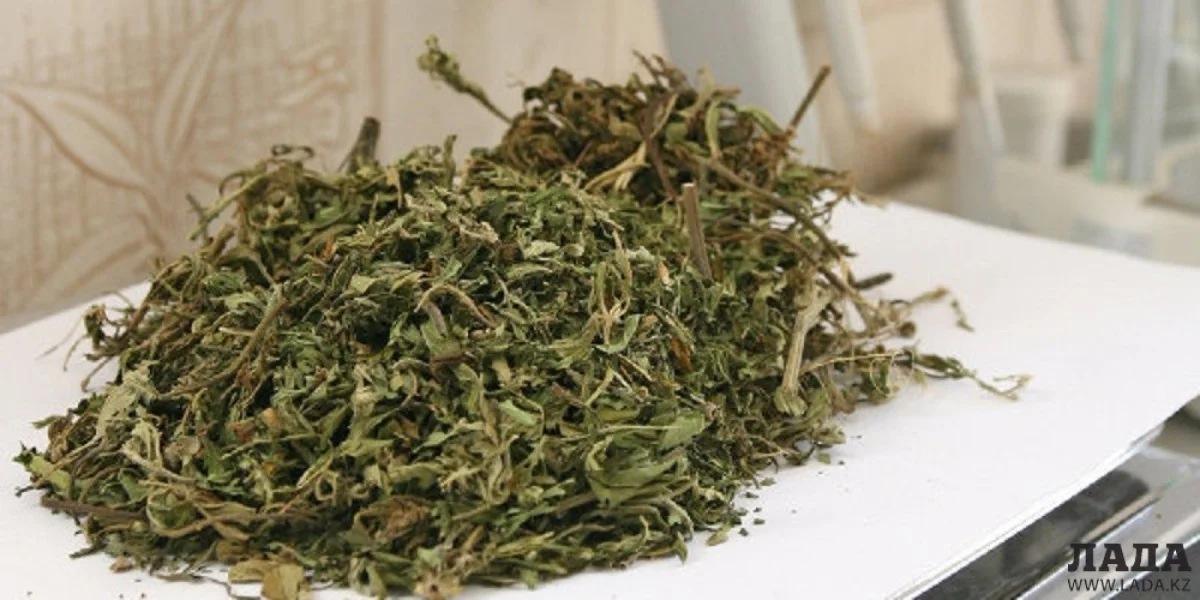 Фото с сайта: cdn3.img.ria.ru