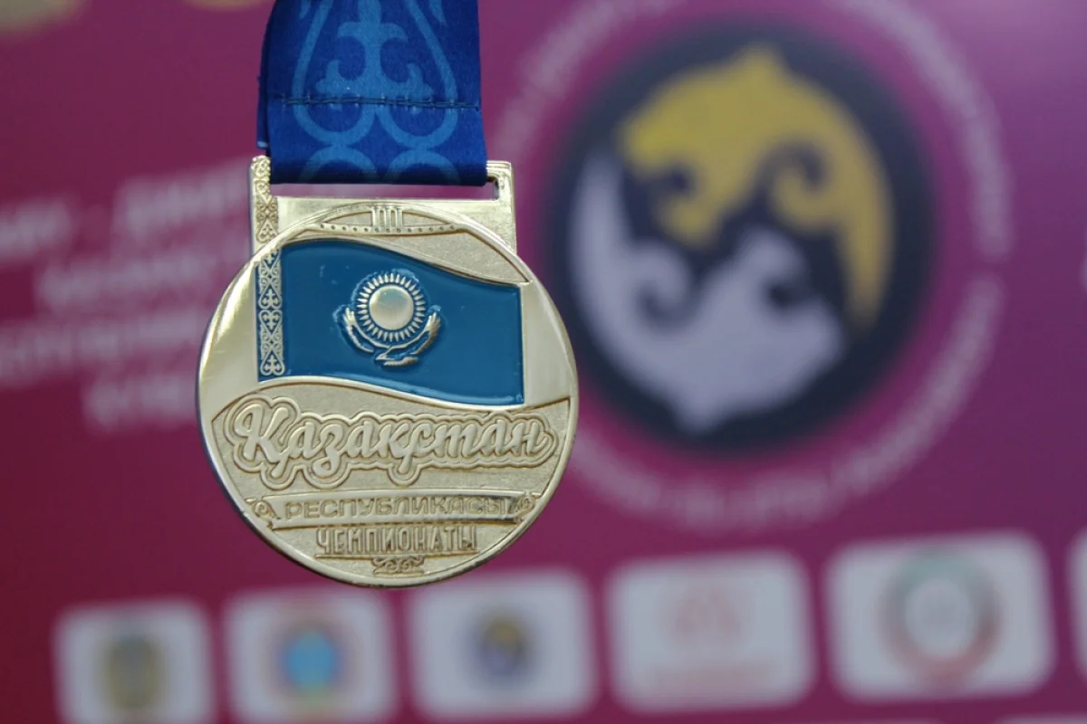 Фото предоставлено пресс-службой Ассоциации джиу-джитсу РК