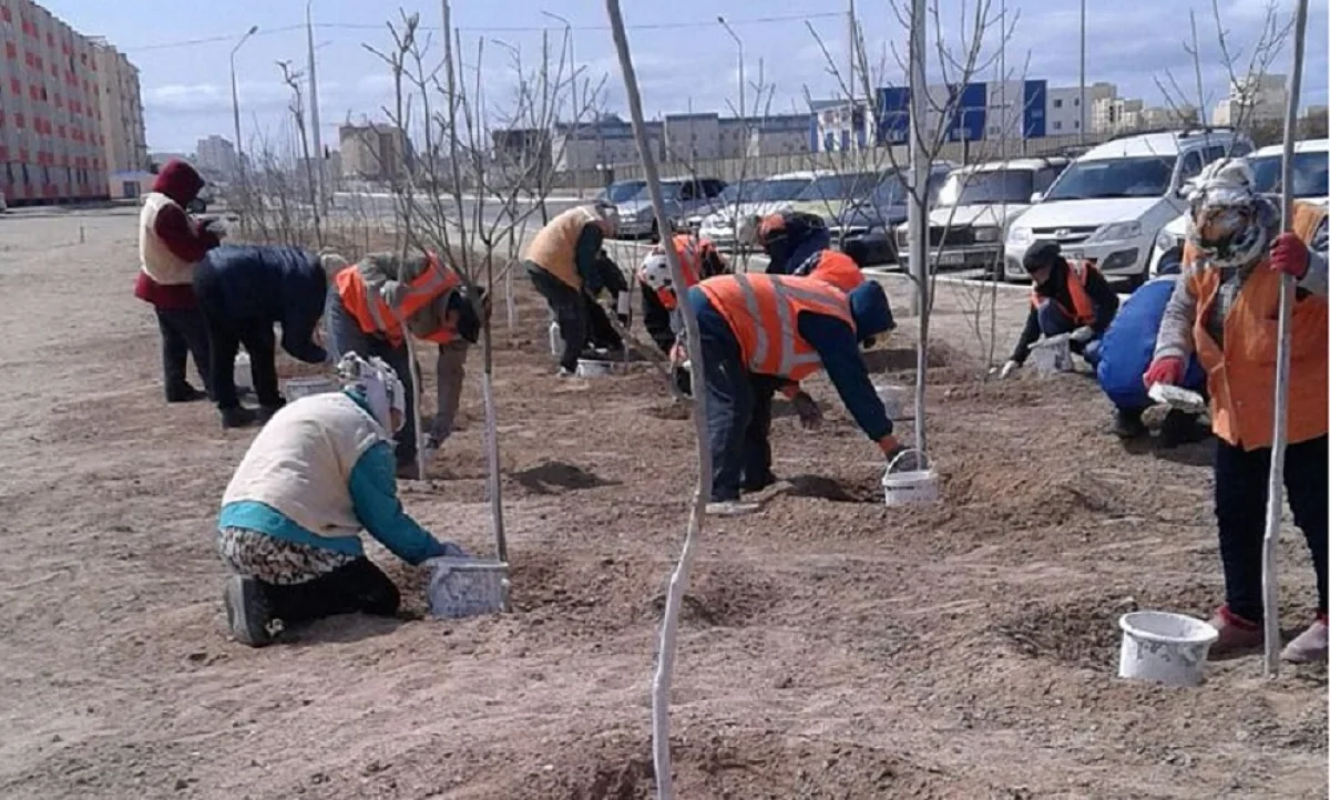 Фото предоставлено ТОО «Кала жолдары»||news_pic_more|<div align="center"><!--TBegin--><a href="https://www.lada.kz/uploads/posts/2017-04/1491462792_01.jpg" onclick="return hs.expand(this)" ><img src="https://www.lada.kz/uploads/posts/2017-04/thumbs/1491462792_01.jpg" alt='Абай Кожабаев: В Актау высадили более девяти тысяч саженцев' title='Абай Кожабаев: В Актау высадили более девяти тысяч саженцев'  /></a><!--TEnd--></div><br /><div align="center"><!--TBegin--><a href="https://www.lada.kz/uploads/posts/2017-04/1491462715_02.jpg" onclick="return hs.expand(this)" ><img src="https://www.lada.kz/uploads/posts/2017-04/thumbs/1491462715_02.jpg" alt='Абай Кожабаев: В Актау высадили более девяти тысяч саженцев' title='Абай Кожабаев: В Актау высадили более девяти тысяч саженцев'  /></a><!--TEnd--></div><br /><div align="center"><!--TBegin--><a href="https://www.lada.kz/uploads/posts/2017-04/1491462735_03.jpg" onclick="return hs.expand(this)" ><img src="https://www.lada.kz/uploads/posts/2017-04/thumbs/1491462735_03.jpg" alt='Абай Кожабаев: В Актау высадили более девяти тысяч саженцев' title='Абай Кожабаев: В Актау высадили более девяти тысяч саженцев'  /></a><!--TEnd--></div><br /><div align="center"><!--TBegin--><a href="https://www.lada.kz/uploads/posts/2017-04/1491462757_04.jpg" onclick="return hs.expand(this)" ><img src="https://www.lada.kz/uploads/posts/2017-04/thumbs/1491462757_04.jpg" alt='Абай Кожабаев: В Актау высадили более девяти тысяч саженцев' title='Абай Кожабаев: В Актау высадили более девяти тысяч саженцев'  /></a><!--TEnd--></div>