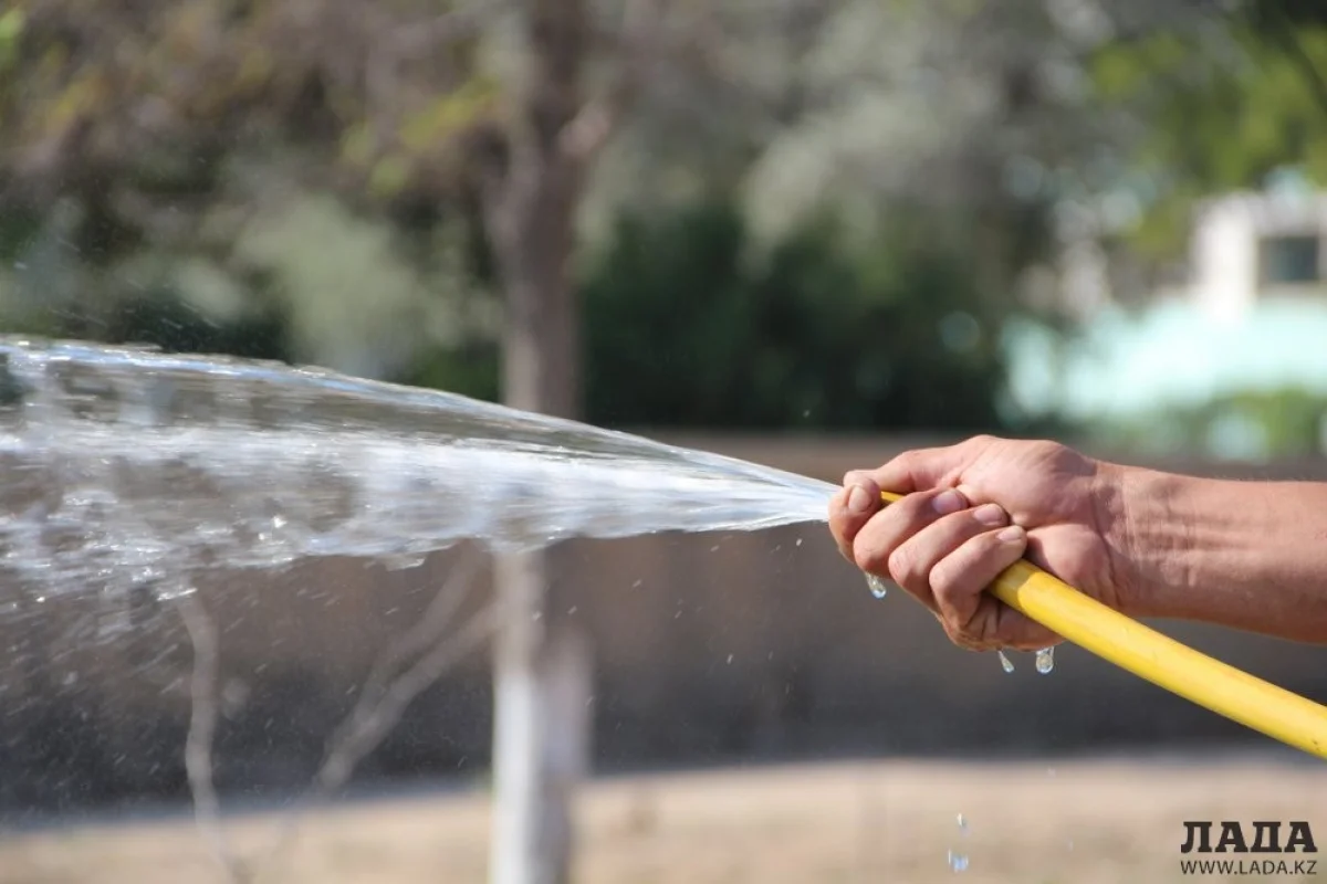 Фото из архива Lada.kz