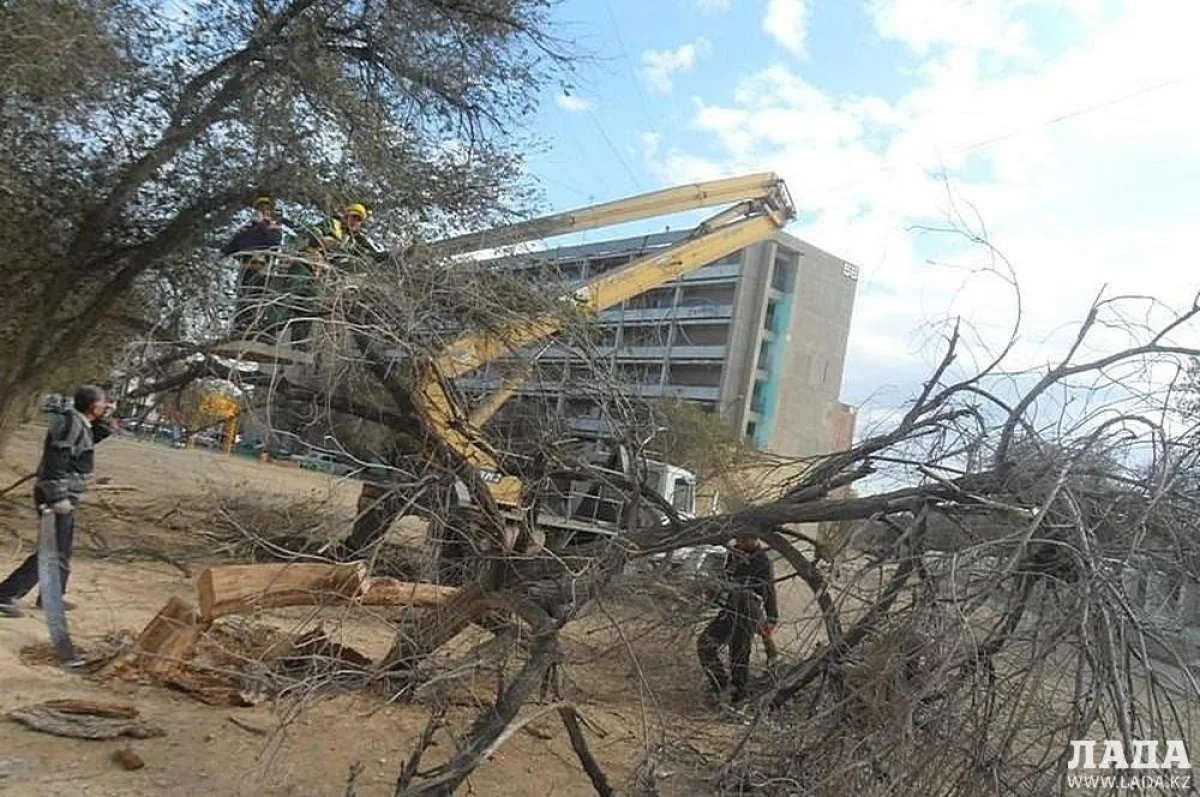 Фото из архива Lada.kz