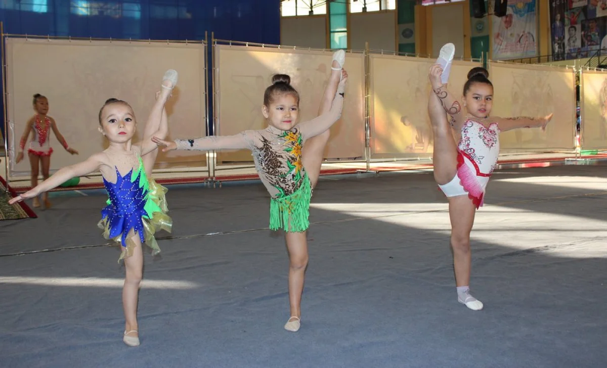 Воспитанницы студии «Грация». Фото предоставлено участниками турнира