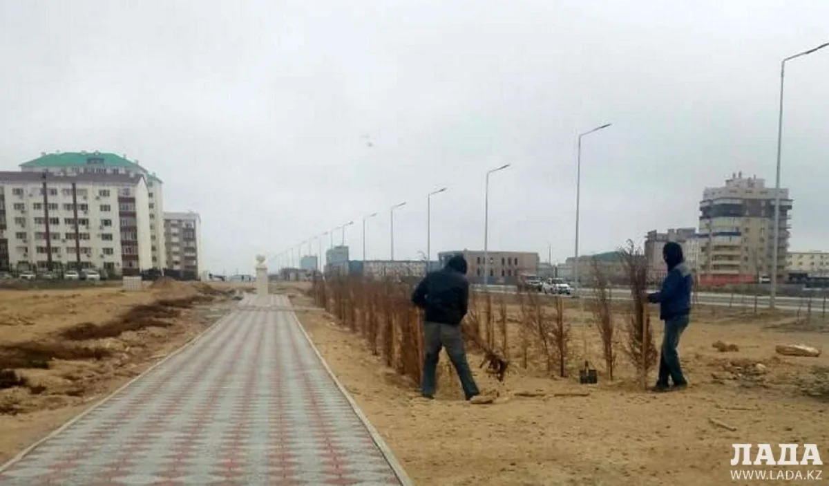 Фото пользователя Lada.kz