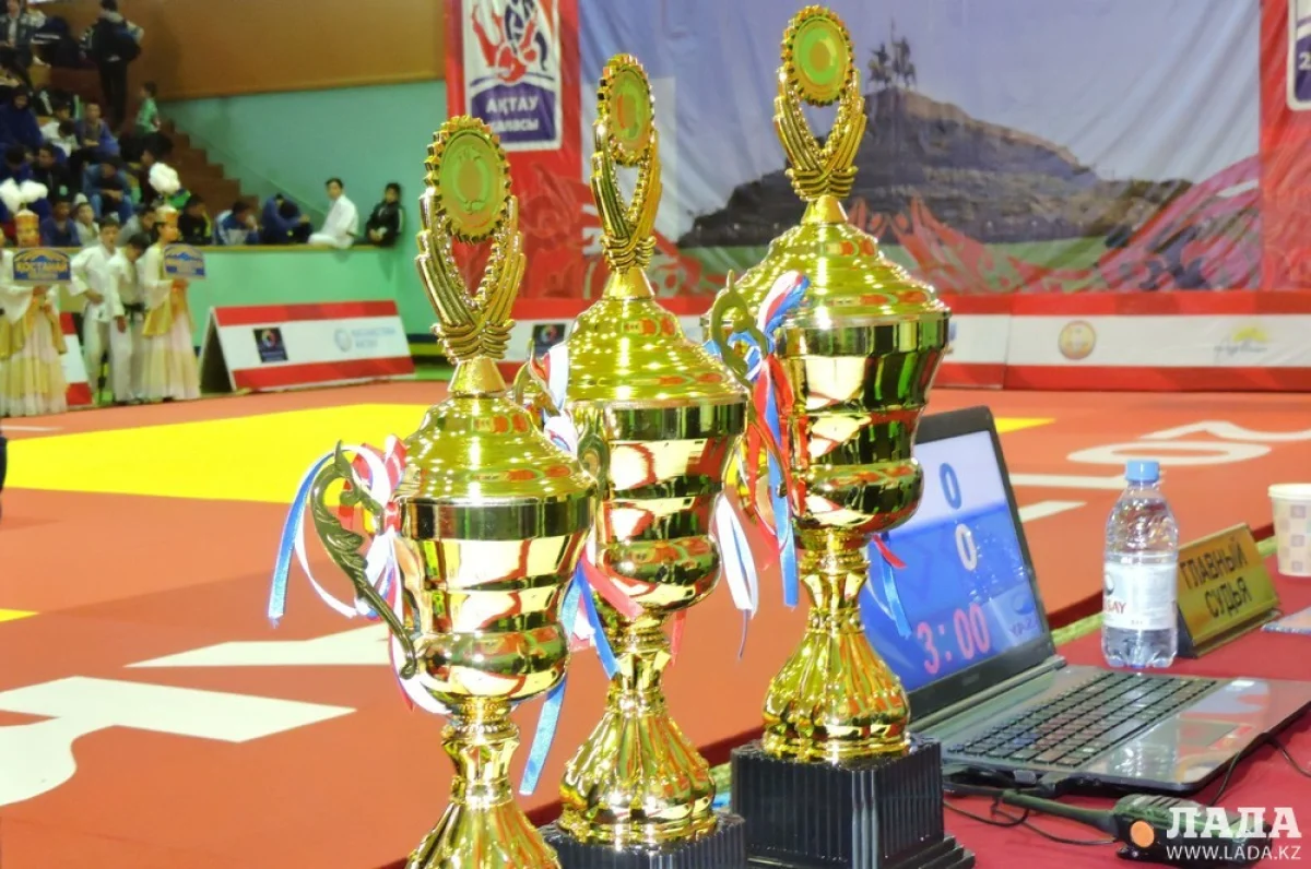 Кубки для чемпионов. Фото автора