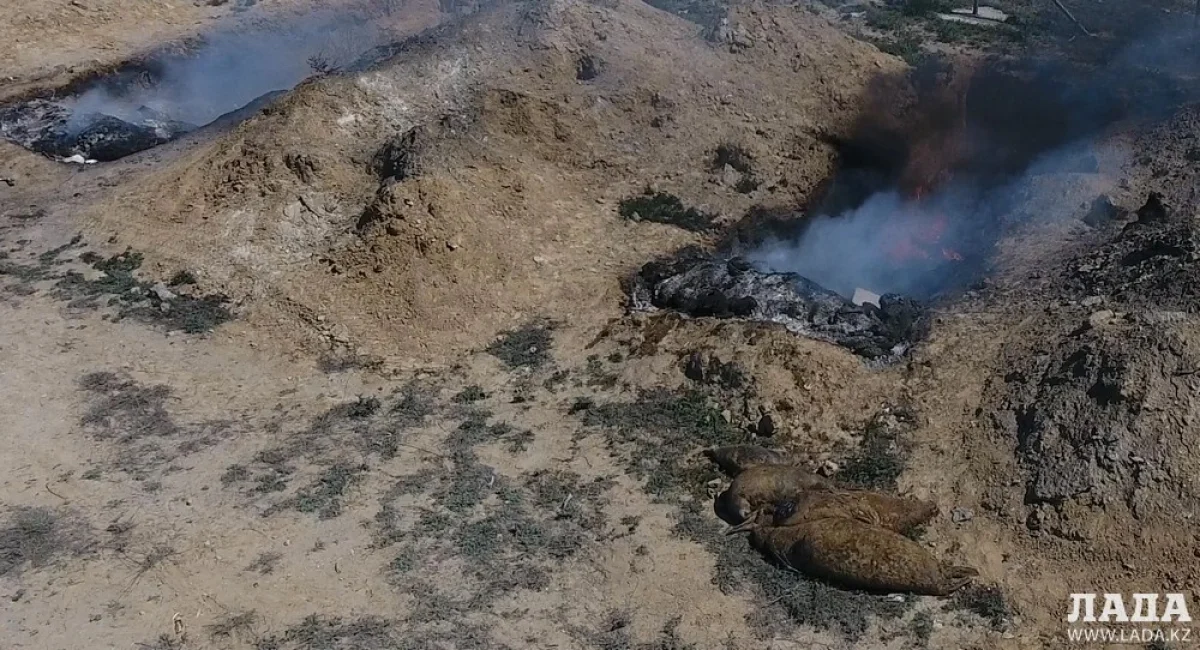 Фото Рашида Исмагилова