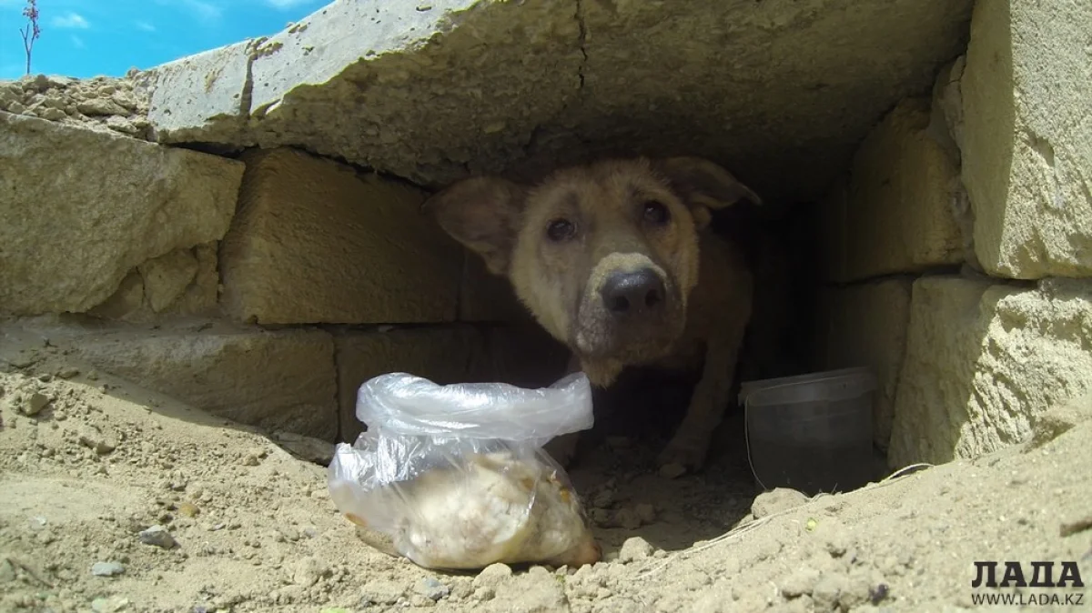 Фото Рашида Исмагилова