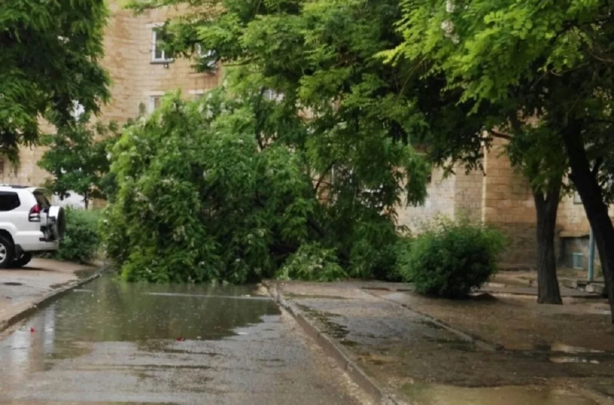 Фото пользователя Lada.kz