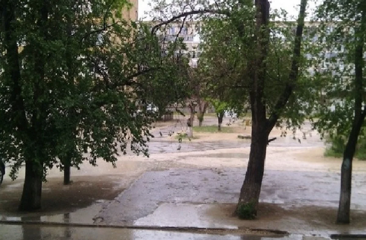 Фото из сети Instagram