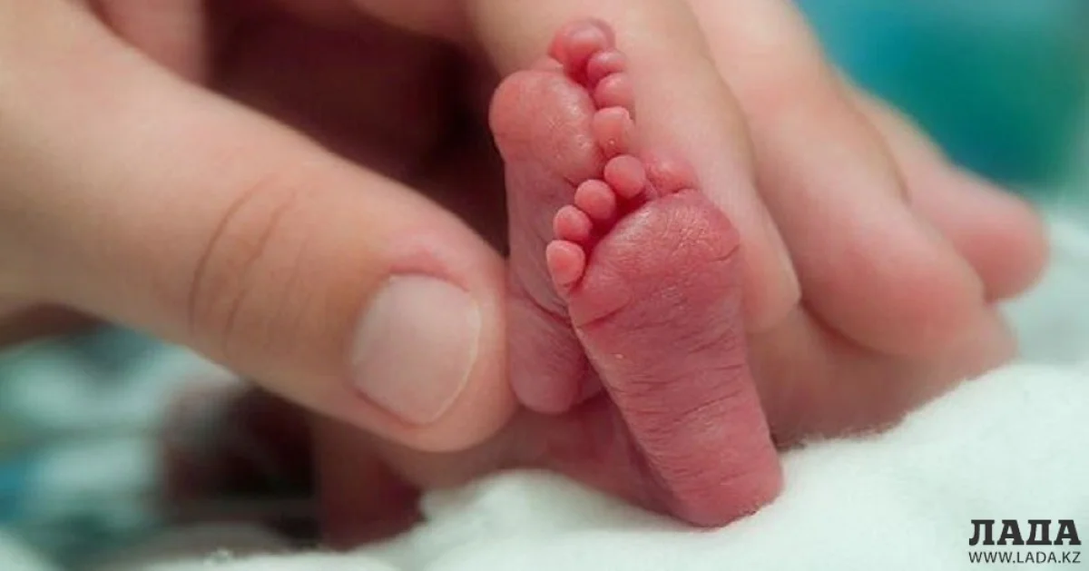 Иллюстративное фото||news_pic_more|<!--TBegin--><a href="https://www.lada.kz/uploads/posts/2017-05/1496121816_img_0653-16-05-17-04-52.jpg" onclick="return hs.expand(this)" ><img align="left" src="https://www.lada.kz/uploads/posts/2017-05/thumbs/1496121816_img_0653-16-05-17-04-52.jpg" alt='Волонтеры клуба «28 петель» помогают врачам перинатального центра Мангистау выхаживать детей с низким весом' title='Волонтеры клуба «28 петель» помогают врачам перинатального центра Мангистау выхаживать детей с низким весом'  /></a><!--TEnd--><br /><!--TBegin--><a href="https://www.lada.kz/uploads/posts/2017-05/1496121842_img_0654-16-05-17-04-52.jpg" onclick="return hs.expand(this)" ><img align="left" src="https://www.lada.kz/uploads/posts/2017-05/thumbs/1496121842_img_0654-16-05-17-04-52.jpg" alt='Волонтеры клуба «28 петель» помогают врачам перинатального центра Мангистау выхаживать детей с низким весом' title='Волонтеры клуба «28 петель» помогают врачам перинатального центра Мангистау выхаживать детей с низким весом'  /></a><!--TEnd--><br /><!--TBegin--><a href="https://www.lada.kz/uploads/posts/2017-05/1496121848_img_0666-16-05-17-04-52.jpg" onclick="return hs.expand(this)" ><img align="left" src="https://www.lada.kz/uploads/posts/2017-05/thumbs/1496121848_img_0666-16-05-17-04-52.jpg" alt='Волонтеры клуба «28 петель» помогают врачам перинатального центра Мангистау выхаживать детей с низким весом' title='Волонтеры клуба «28 петель» помогают врачам перинатального центра Мангистау выхаживать детей с низким весом'  /></a><!--TEnd--><br /><!--TBegin--><a href="https://www.lada.kz/uploads/posts/2017-05/1496121800_img_0674-16-05-17-04-52.jpg" onclick="return hs.expand(this)" ><img align="left" src="https://www.lada.kz/uploads/posts/2017-05/thumbs/1496121800_img_0674-16-05-17-04-52.jpg" alt='Волонтеры клуба «28 петель» помогают врачам перинатального центра Мангистау выхаживать детей с низким весом' title='Волонтеры клуба «28 петель» помогают врачам перинатального центра Мангистау выхаживать детей с низким весом'  /></a><!--TEnd--><br /><!--TBegin--><a href="https://www.lada.kz/uploads/posts/2017-05/1496121836_img_0677-16-05-17-04-52.jpg" onclick="return hs.expand(this)" ><img align="left" src="https://www.lada.kz/uploads/posts/2017-05/thumbs/1496121836_img_0677-16-05-17-04-52.jpg" alt='Волонтеры клуба «28 петель» помогают врачам перинатального центра Мангистау выхаживать детей с низким весом' title='Волонтеры клуба «28 петель» помогают врачам перинатального центра Мангистау выхаживать детей с низким весом'  /></a><!--TEnd-->