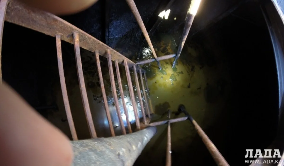 Фото Алексея Оськина