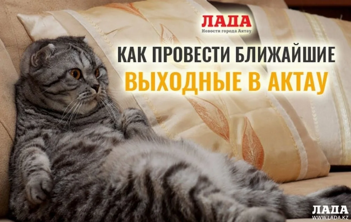 Иллюстративное фото